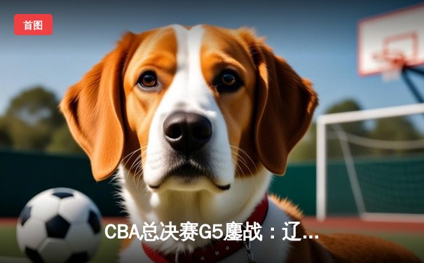 CBA总决赛G5鏖战：辽宁本钢加时险胜广东宏远 成功卫冕总冠军